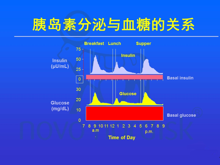 糖尿病的胰岛素治疗-补充与替代.ppt_第2页