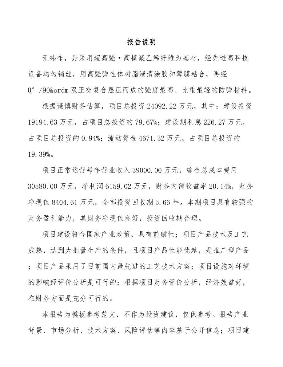 大连无纬布项目可行性研究报告模板参考.docx_第2页