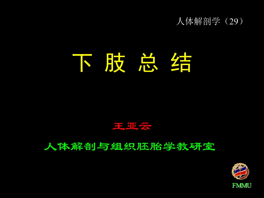 《下肢总结》ppt课件.ppt_第1页