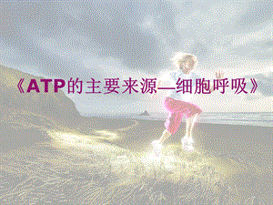 《ATP的主要来源-细胞呼吸》说课稿.ppt