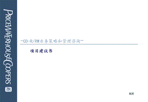 普华永道项目建议书.ppt