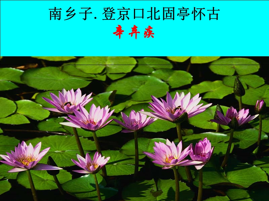 《南乡子·登京口北固亭有怀》19优秀PPT教学课件.ppt_第2页