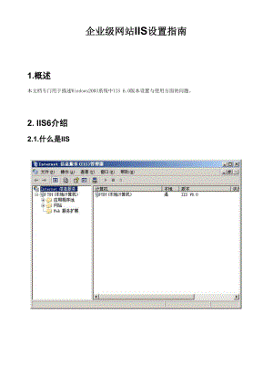 企业级网站IIS设置指南.docx