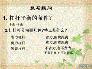 新人教八年级物理滑轮.ppt