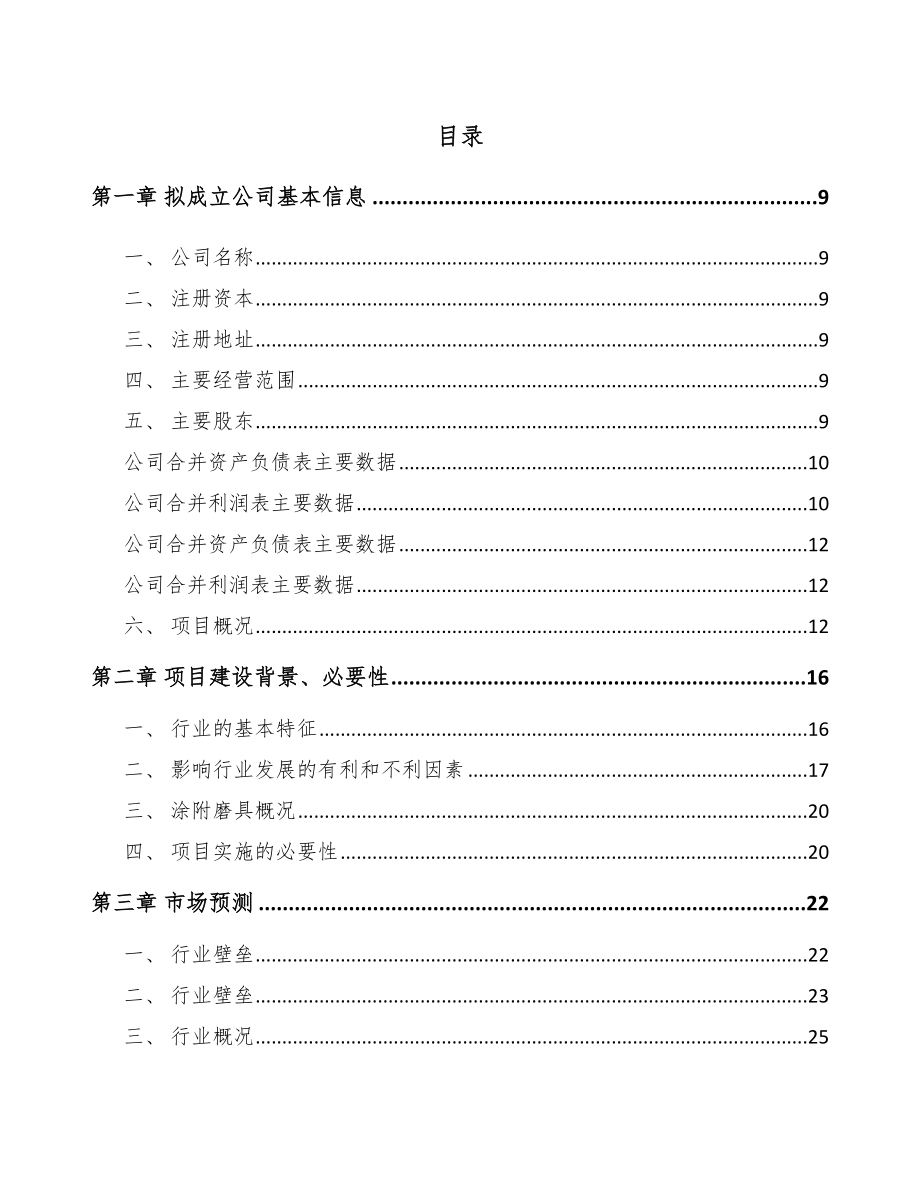 宁波关于成立抛光材料公司可行性研究报告.docx_第2页