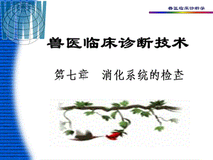 《临床检查》课件.ppt