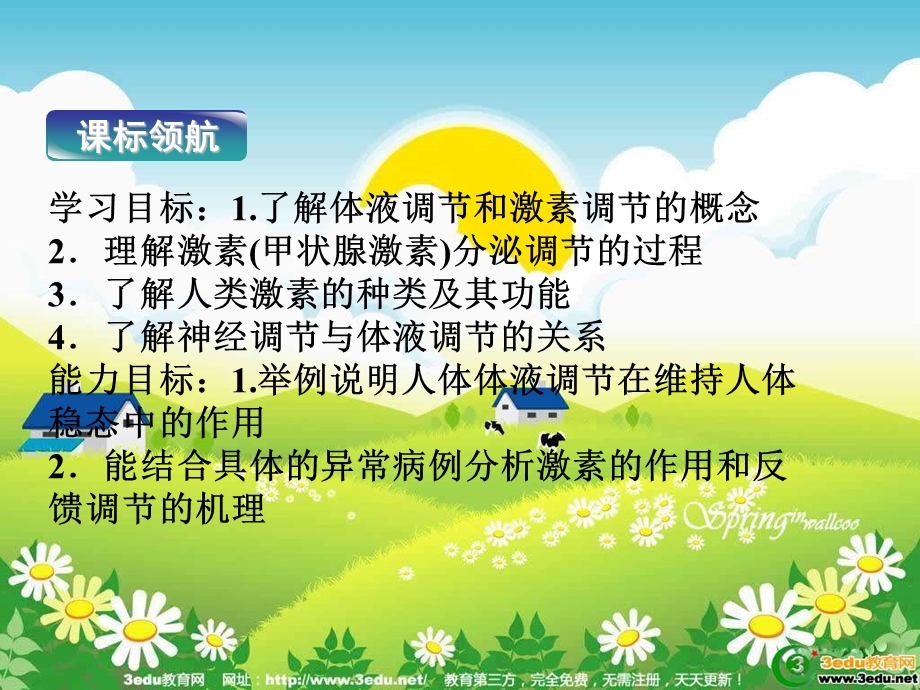 高二生物人体的激素调节.ppt_第3页