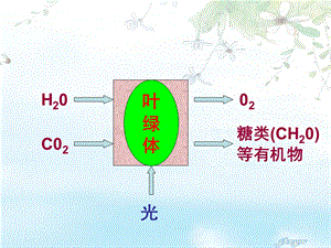 《光合作用的原理和应用》.ppt