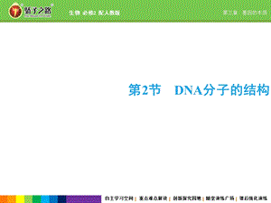 《dna的结构》课件.ppt