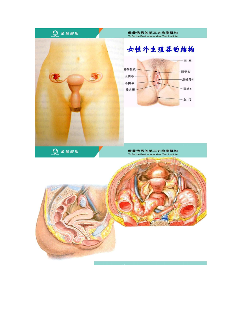 妇女常见病的预防和保健-.doc_第3页