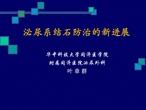 泌尿系结石防治的新进展.ppt