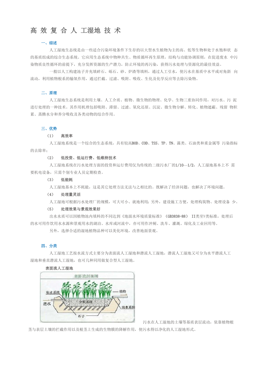 人工湿地技术.docx_第2页