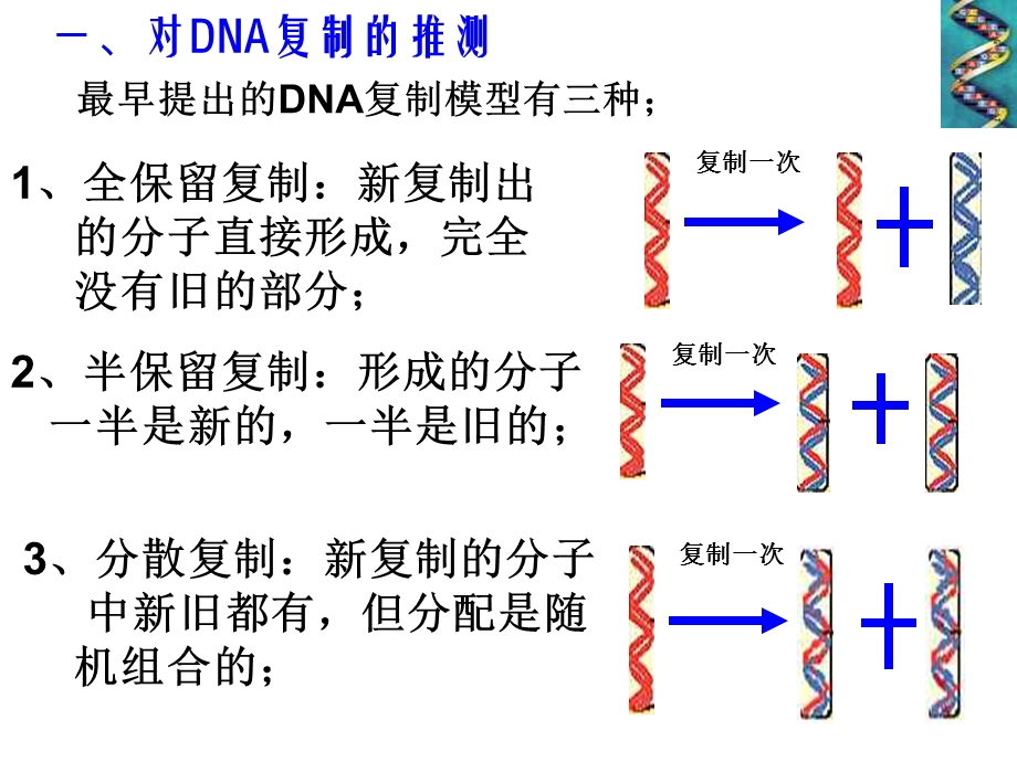 《DNA的复制》课件(新人教版必修2).ppt_第2页