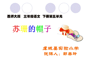 西师大版小学三下《苏珊的帽子》ppt课件.ppt