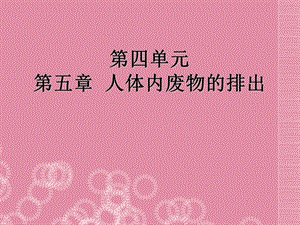 《人体内废物的排出》优质课件PPT.ppt