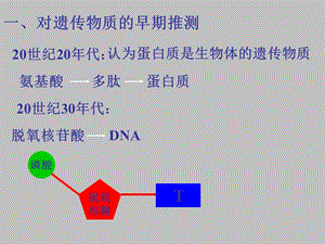 《DNA是主要的遗传物质》课件(新人教版必修2).ppt