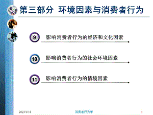 环境因素与消费者行为.ppt