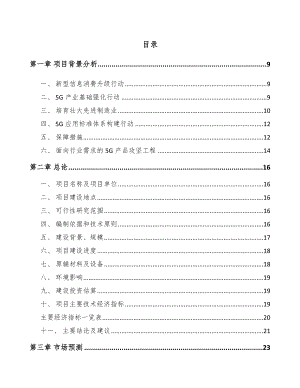 宁夏年产xxx套5G设备项目融资报告.docx