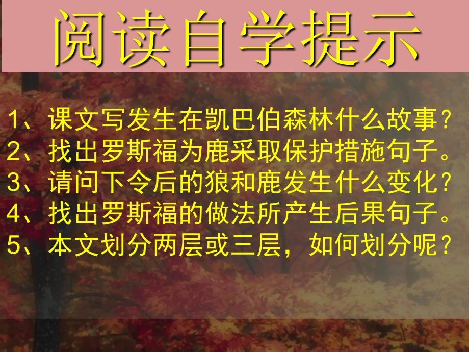 鹿和狼的故事六年级语文上优秀.ppt_第3页