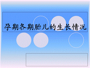 胎儿生长发育及孕期营养.ppt