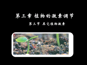 《其它植物激素》(课件).ppt