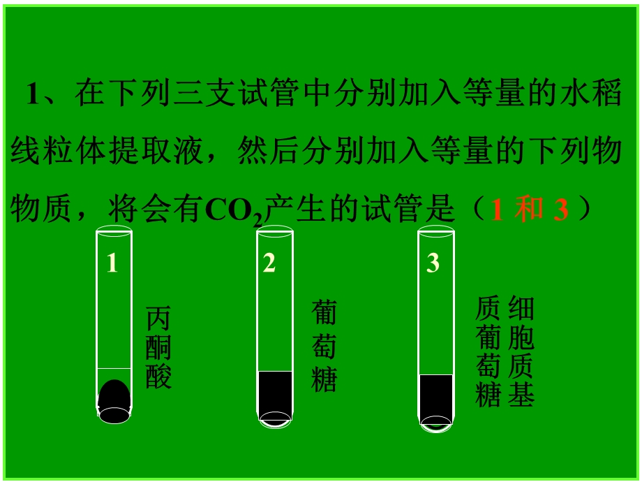 《分子与细胞》一轮复习光合作用.ppt_第1页