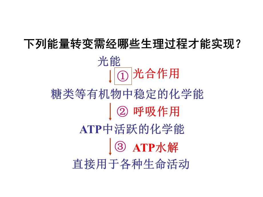 《分子与细胞》一轮复习光合作用.ppt_第3页