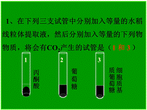 《分子与细胞》一轮复习光合作用.ppt