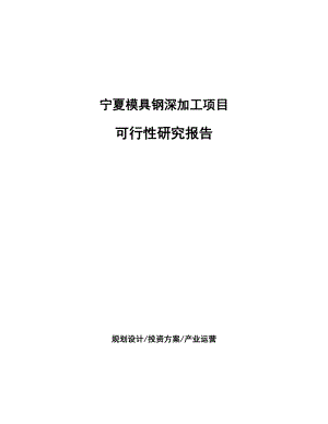 宁夏模具钢深加工项目研究报告.docx