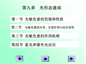 《光形态建成》课件.ppt