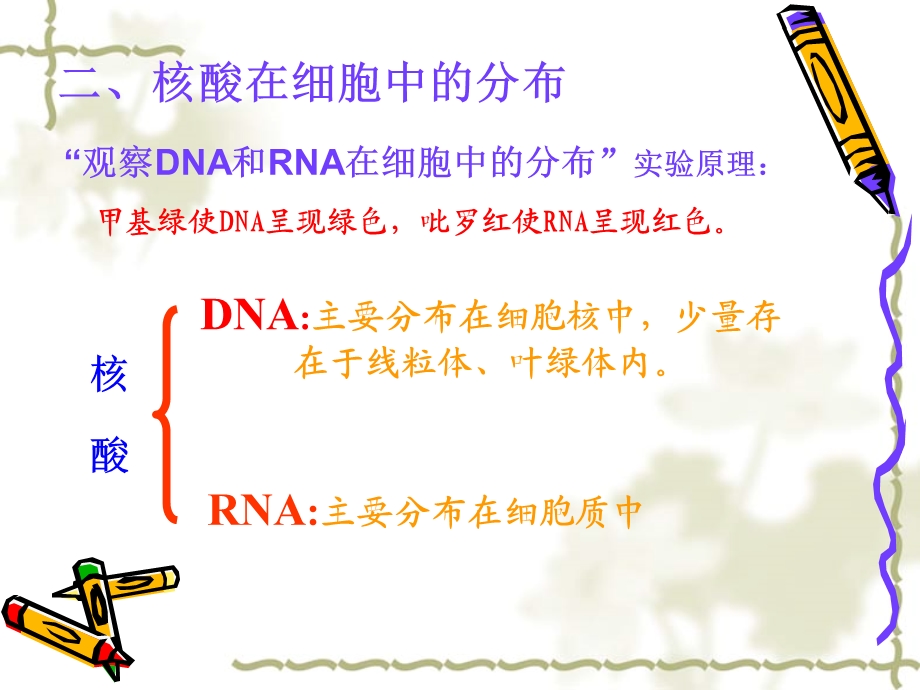 《分子与细胞》第二章复习.ppt_第3页