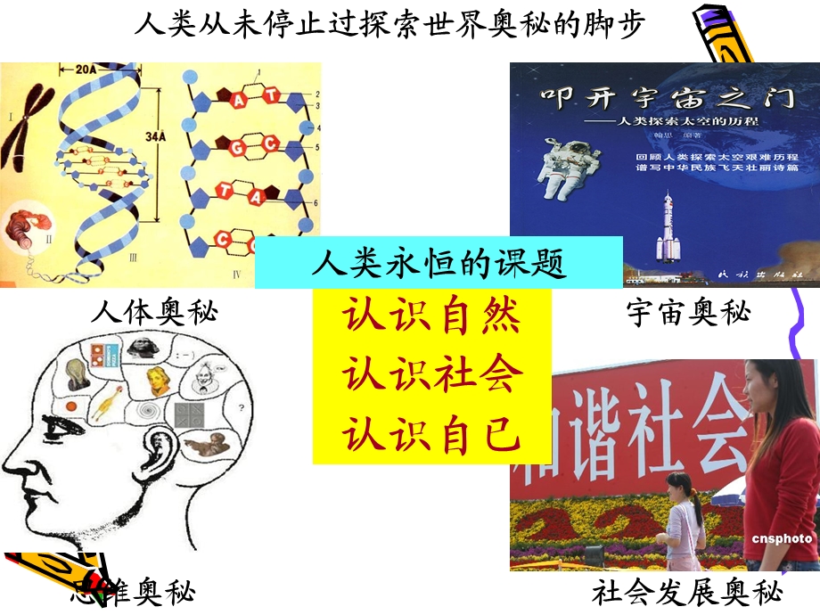 《人的认识从何而来》.ppt_第2页