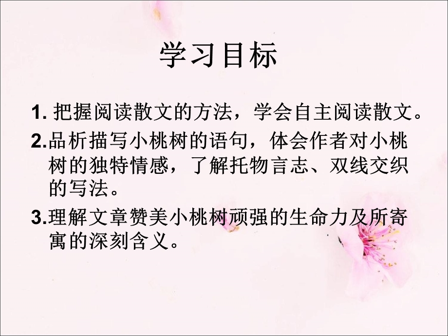 《一棵小桃树》公开课件.ppt_第3页