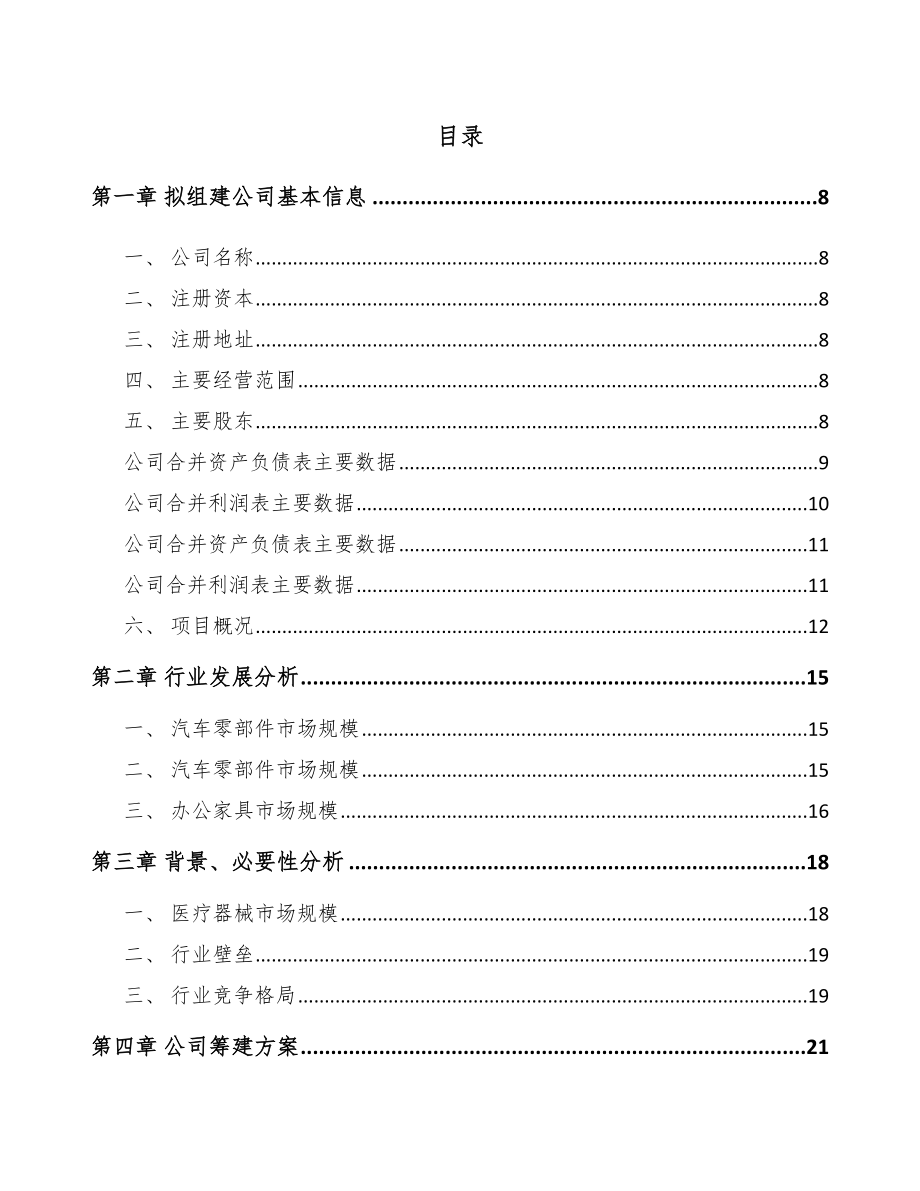 宁夏关于成立气弹簧公司可行性研究报告.docx_第2页