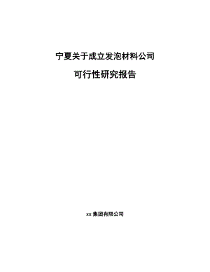 宁夏关于成立发泡材料公司可行性研究报告.docx