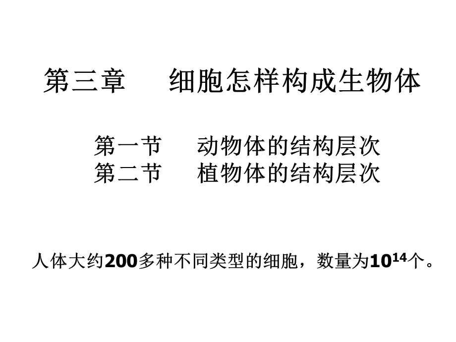 生物动物体的结构层次.ppt_第1页