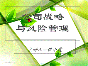 《公司战略与风险管理》.ppt