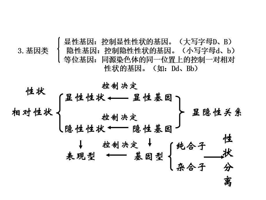 遗传概念及关系的总结.ppt_第2页