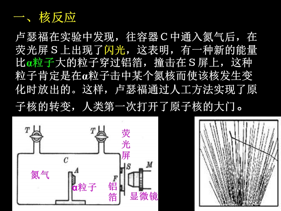 高二物理放射性的应用与防护.ppt_第2页