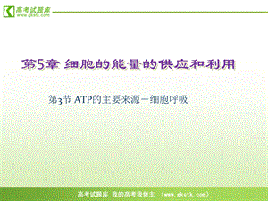 《ATP的主要来源──细胞呼吸》课件3(新人教版必修1).ppt