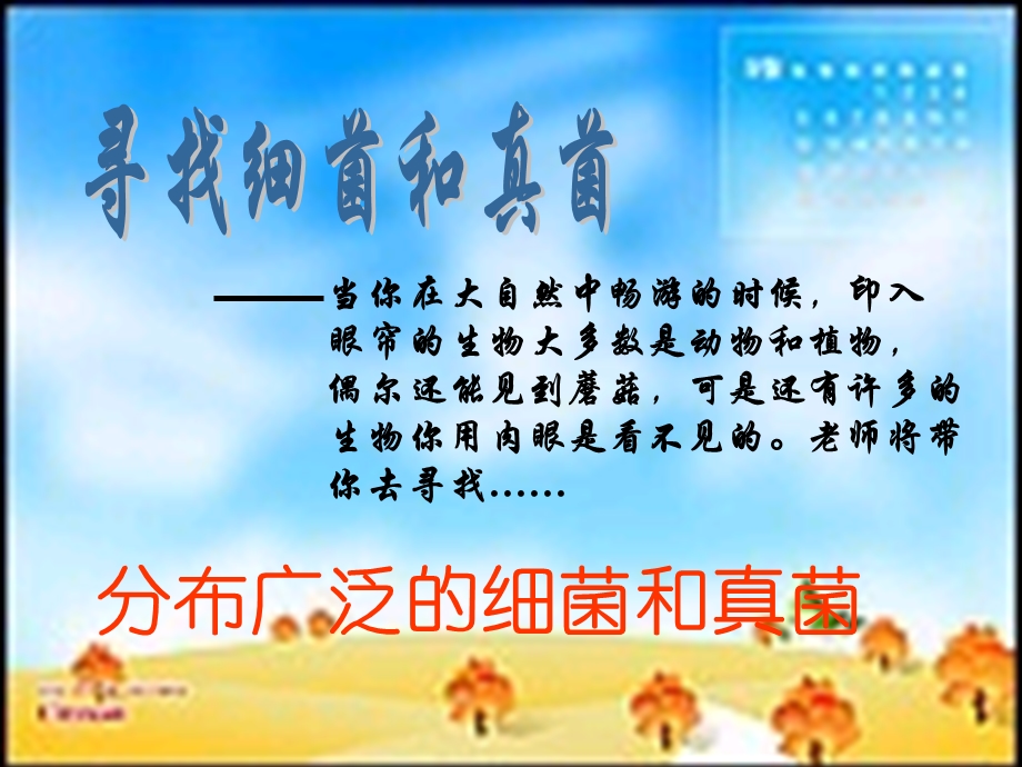 《分布广泛的细菌和真菌》课件.ppt_第1页