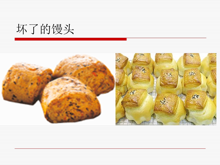 《分布广泛的细菌和真菌》课件.ppt_第3页