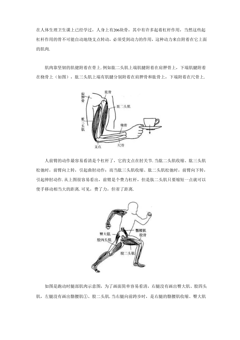 人身体上的杠杆.docx_第1页