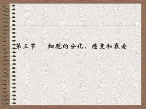 高二生物第三节细胞的分化、癌变和衰老.ppt