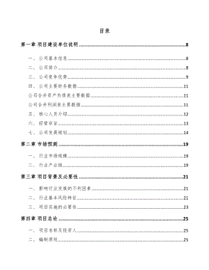 宁波体外诊断仪器项目可行性研究报告.docx