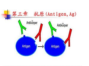 高美华《医学免疫学》第三章抗原.ppt