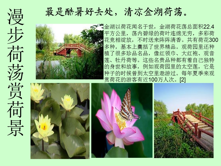 我爱家乡荷花荡.ppt_第3页