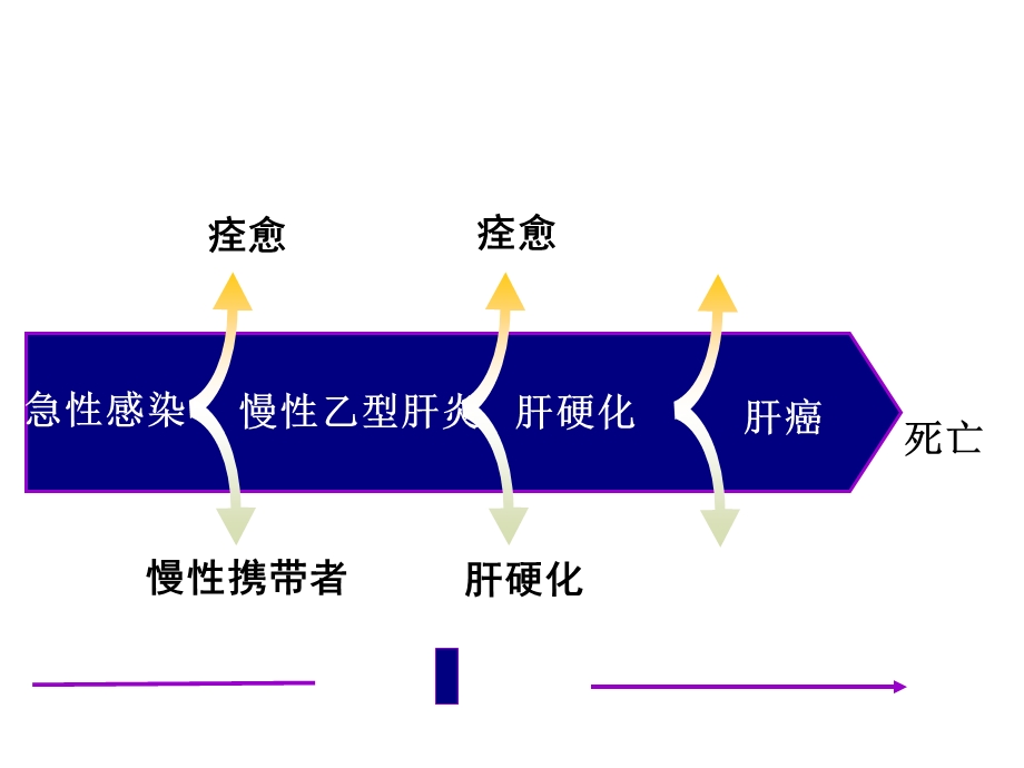 病毒感染性疾病-肝炎.ppt_第2页