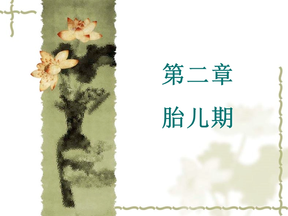 《人体发育学》第二章胎儿期(胎儿发育的影响因素).ppt_第1页