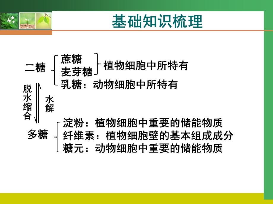 高二生物第一章二节.ppt_第3页